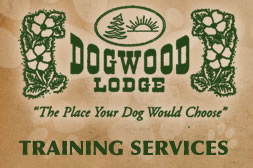 Training Services